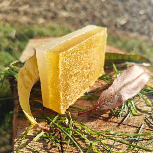 Orange Peel & Eucalyptus Soap