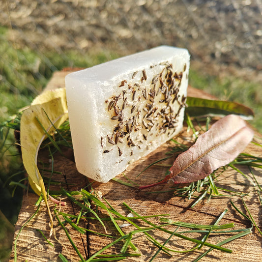 Lavender & Shea Butter Soap